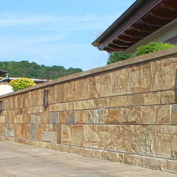 Garde-corps en fer forg� avec l'�clairage incorpor�