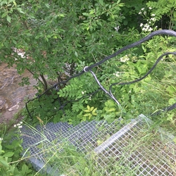 Escalier forg� avec balustrade fabriqu� pour l'accès à la rivière