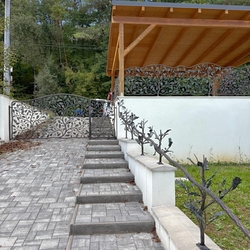 Clôture originale forgée à la main avec garde-corps au design naturel Clôture originale forgée à la main avec garde-corps au design naturel