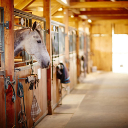 Fa�ade forg�e - portes coulissantes dans l'�curie