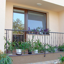 Garde-corps en fer forg� 